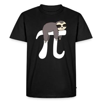 Math Sloth Pi - Men's Premium Organic T-Shirt - black - Front - Nico (187cm)