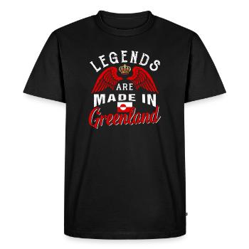 Greenland - Men's Premium Organic T-Shirt - black - Front - Nico (187cm)