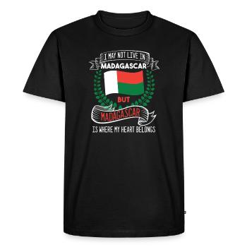 Madagascar - Men's Premium Organic T-Shirt - black - Front - Nico (187cm)
