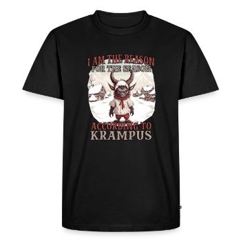 Le Krampus arrive | Kramperl | Costume Krampus - T-shirt Premium bio Homme - noir - Devant - Nico (187cm)