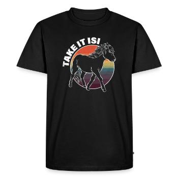 Icelandic horse pony - Men's Premium Organic T-Shirt - black - Front - Nico (187cm)
