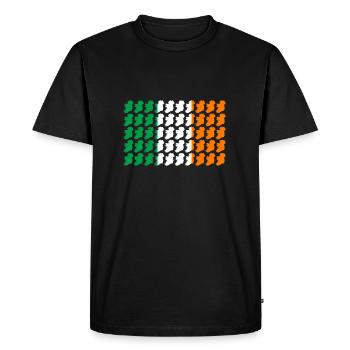 Irlande Pavillon Pays Dublin Irlande IRL UE - T-shirt Premium bio Homme - noir - Devant - Nico (187cm)