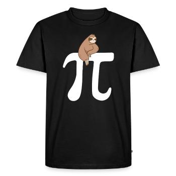 Math Sloth Pi - Men's Premium Organic T-Shirt - black - Front - Nico (187cm)