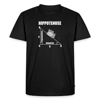 Nerd Geometry Hippotenuse Hypotenuse Math - Men's Premium Organic T-Shirt - black - Front - Nico (187cm)