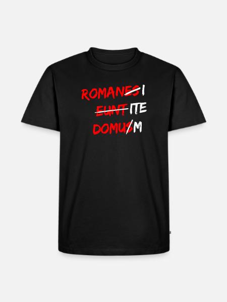 Romanes Eunt Domus Latein Spruch - Männer Premium Bio T-Shirt - Schwarz