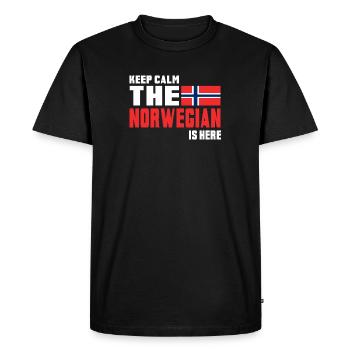 Keep Calm The Norwegian / Norvège / Cadeau - T-shirt Premium bio Homme - noir - Devant - Nico (187cm)