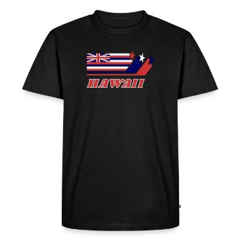 Hawaii Flag Gift Honolulu - Men's Premium Organic T-Shirt - black - Front - Nico (187cm)