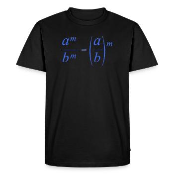 mathematics - Men's Premium Organic T-Shirt - black - Front - Nico (187cm)
