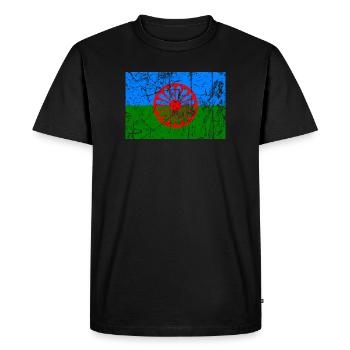 flag of the romani people or styago le romengo - Men's Premium Organic T-Shirt - black - Front - Nico (187cm)