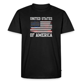 Drapeau des États-Unis en détresse - T-shirt Premium bio Homme - noir - Devant - Nico (187cm)