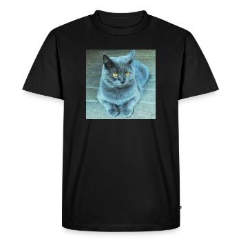 Gray Blue Cat with Golden Eyes - Men's Premium Organic T-Shirt - black - Front - Nico (187cm)