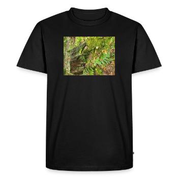 Forêt d’automne - T-shirt Premium bio Homme - noir - Devant - Nico (187cm)