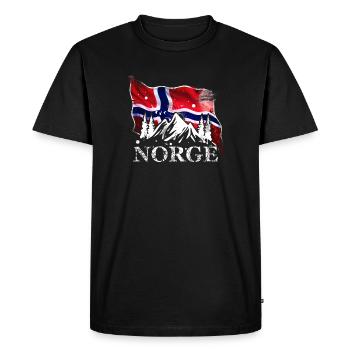 Norwegen - Männer Premium Bio T-Shirt - Schwarz - Vorne - Nico (187cm)