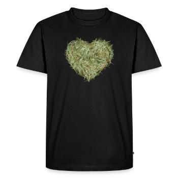 Cœur de foin aux teintes verdâtres chatoyantes - T-shirt Premium bio Homme - noir - Devant - Nico (187cm)