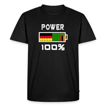 Germany and Zambia Power 100% - Men's Premium Organic T-Shirt - black - Front - Nico (187cm)