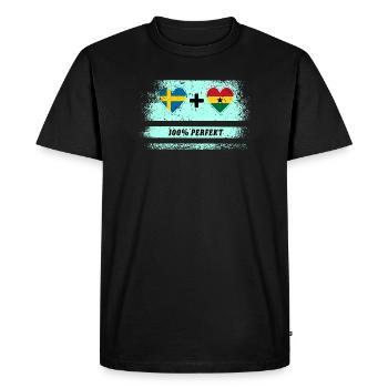 Ghana and Sweden 100% Perfect / Gift - Men's Premium Organic T-Shirt - black - Front - Nico (187cm)
