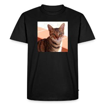 Chat chaton affiche chat carré affiche - T-shirt Premium bio Homme - noir - Devant - Nico (187cm)