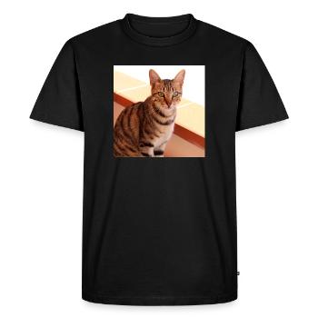 Chat chaton affiche chat carré affiche - T-shirt Premium bio Homme - noir - Devant - Nico (187cm)