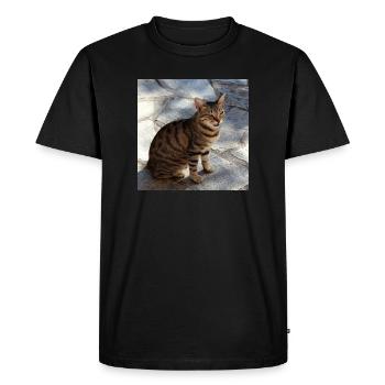 Chat chaton affiche chat carré affiche - T-shirt Premium bio Homme - noir - Devant - Nico (187cm)
