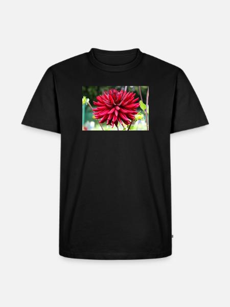 Dahlia Red Blossom ,Flower - Men's Premium Organic T-Shirt - black