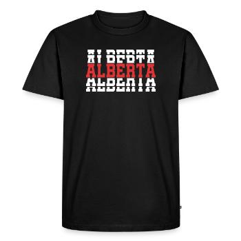 T-shirt Alberta T-shirt idée cadeau texte empilé - T-shirt Premium bio Homme - noir - Devant - Nico (187cm)