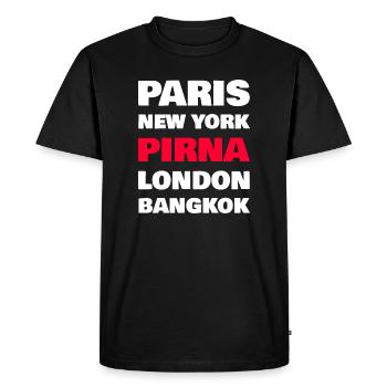 Chemise Pirna – Petites villes contre métropoles du monde - T-shirt Premium bio Homme - noir - Devant - Nico (187cm)