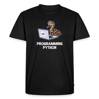 Scripting Programmer Computer Debug Developer - Men's Premium Organic T-Shirt - black - Front - Nico (187cm)
