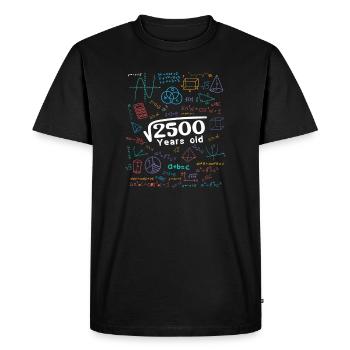 2500 Years of Math Doodles - Men's Premium Organic T-Shirt - black - Front - Nico (187cm)
