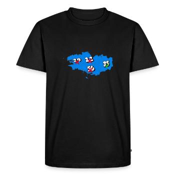 Région Bretagne - T-shirt Premium bio Homme - noir - Devant - Nico (187cm)