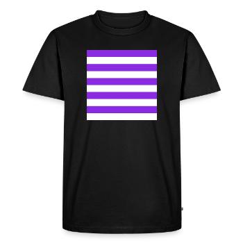 The Stripes - Men's Premium Organic T-Shirt - black - Front - Nico (187cm)