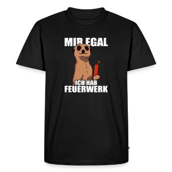 I don't care, I have fireworks, pyrotechnicians, firecrackers - Men's Premium Organic T-Shirt - black - Front - Nico (187cm)