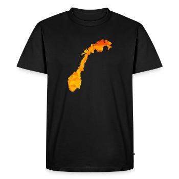 Norvège - Norvège - Norvège - Drapeau - Scandinavie - T-shirt Premium bio Homme - noir - Devant - Nico (187cm)