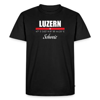 Lucerne - Men's Premium Organic T-Shirt - black - Front - Nico (187cm)