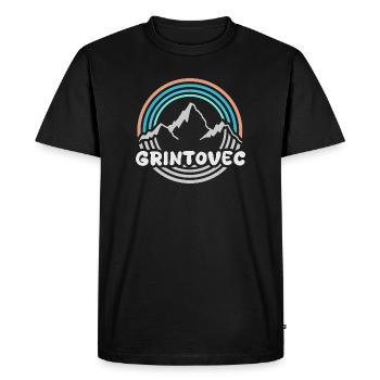 Mount Grintovec - Men's Premium Organic T-Shirt - black - Front - Nico (187cm)