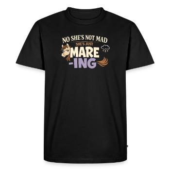 Humour d’humeur cheval Propriétaire expérimenté de chevaux - T-shirt Premium bio Homme - noir - Devant - Nico (187cm)