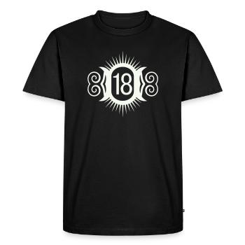 18 - Men's Premium Organic T-Shirt - black - Front - Nico (187cm)