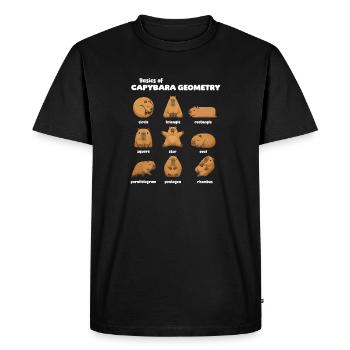 Basics of Capybara Geometry Funnier - Men's Premium Organic T-Shirt - black - Front - Nico (187cm)