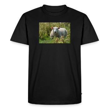 Moutons allongés dans l’herbe - Affiche - T-shirt Premium bio Homme - noir - Devant - Nico (187cm)