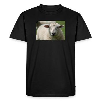Gros plan d’un mouton - T-shirt Premium bio Homme - noir - Devant - Nico (187cm)