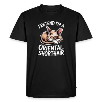 Dictons cadeaux de chats à poil court oriental - T-shirt Premium bio Homme - noir - Devant - Nico (187cm)