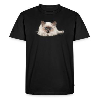 Blue-eyed cat resting - Men's Premium Organic T-Shirt - black - Front - Nico (187cm)