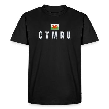 Flag of Wales, Welsh patriot - Men's Premium Organic T-Shirt - black - Front - Nico (187cm)