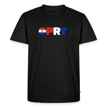 Paraguay - Men's Premium Organic T-Shirt - black - Front - Nico (187cm)