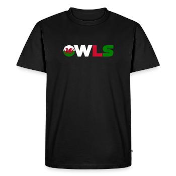 Pays de Galles - T-shirt Premium bio Homme - noir - Devant - Nico (187cm)