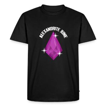 Des prospecteurs à la recherche d’un trésor - T-shirt Premium bio Homme - noir - Devant - Nico (187cm)