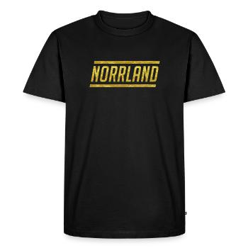 Norrland doré - T-shirt Premium bio Homme - noir - Devant - Nico (187cm)