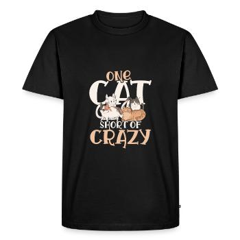 Chat brièvement fou - T-shirt Premium bio Homme - noir - Devant - Nico (187cm)
