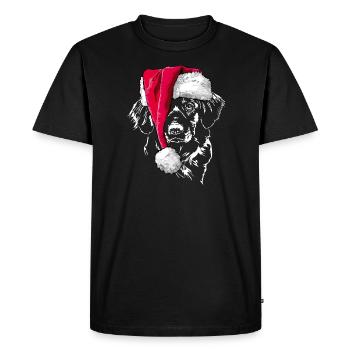 NOVA SCOTIA DUCK TOLLING RETRIEVER Noël - T-shirt Premium bio Homme - noir - Devant - Nico (187cm)