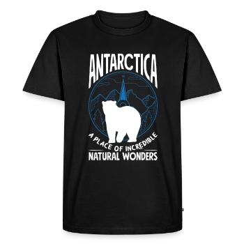 Un lieu de merveilles naturelles incroyables Expédition - T-shirt Premium bio Homme - noir - Devant - Nico (187cm)
