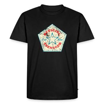 L’ADOLESCENTE OFFICIALE 13ÈME ANNIVERSAIRE - Proverbes - T-shirt Premium bio Homme - noir - Devant - Nico (187cm)